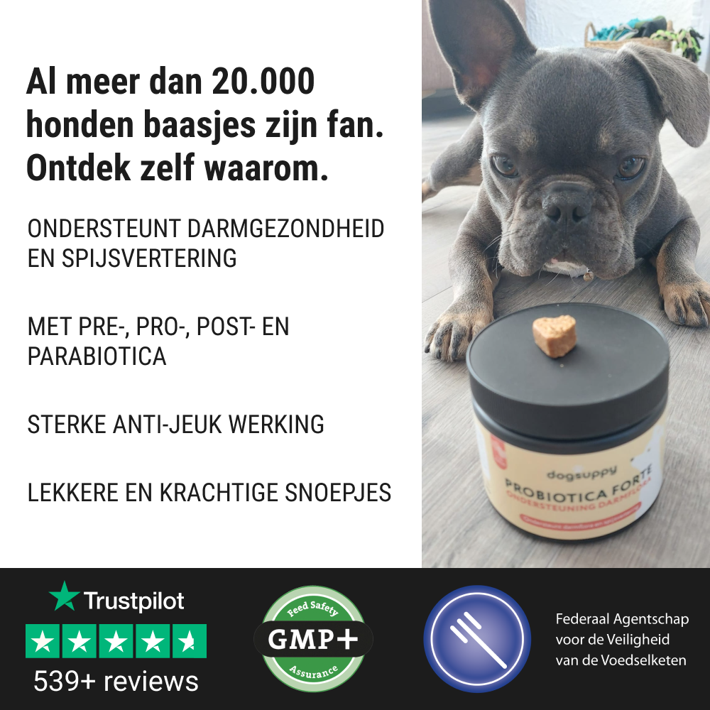 DogSuppy Facebook ad