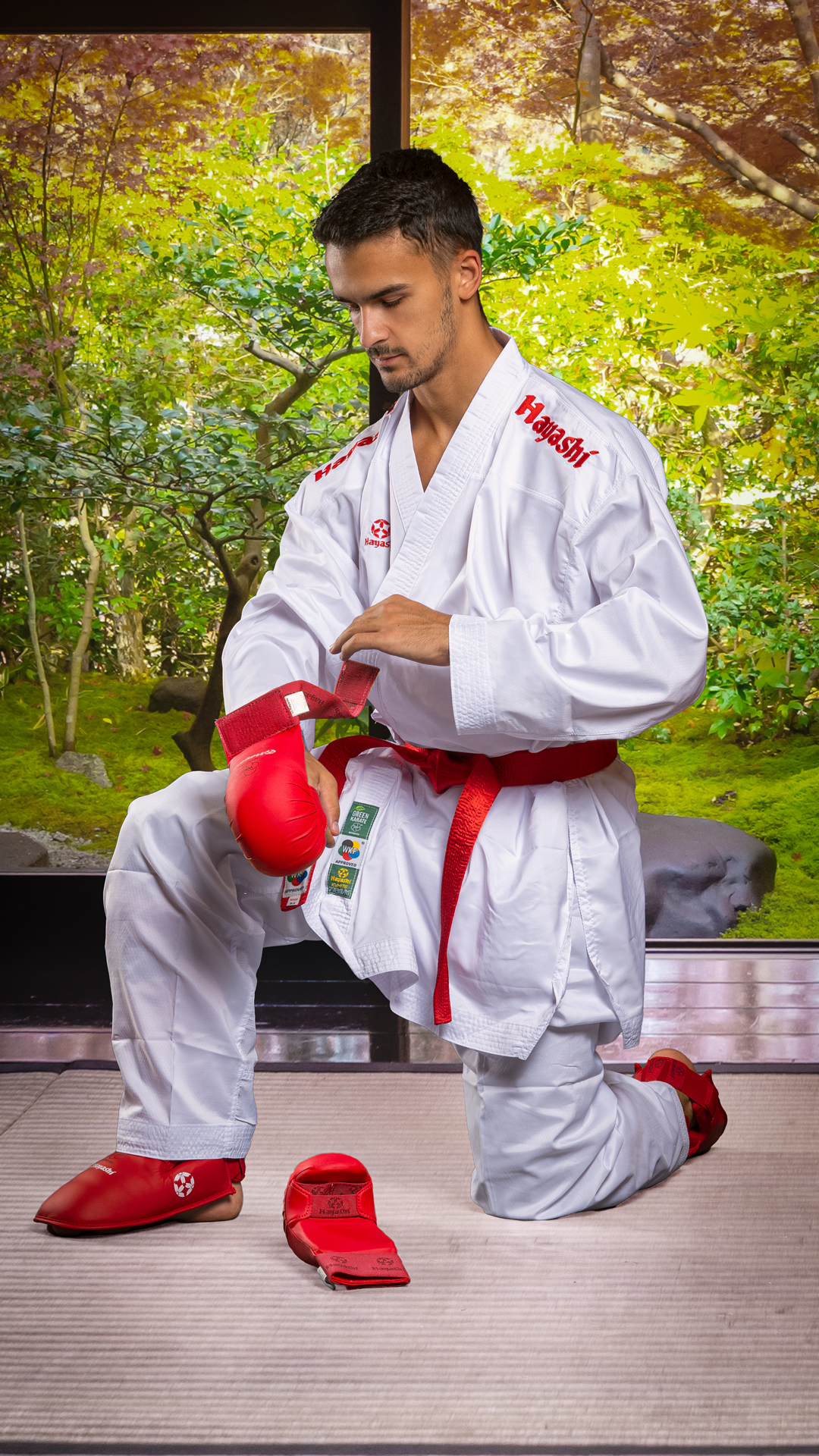 Hayashi Martial Arts Facebook ad