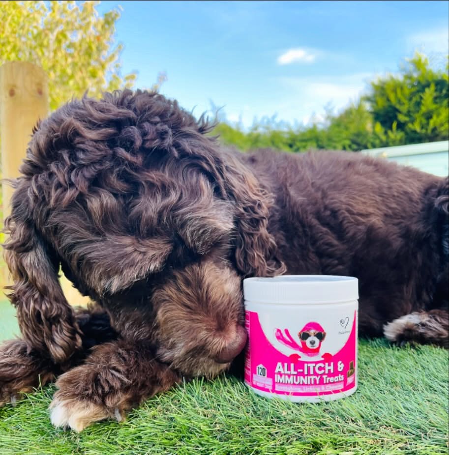 Nutri Paw Facebook ad