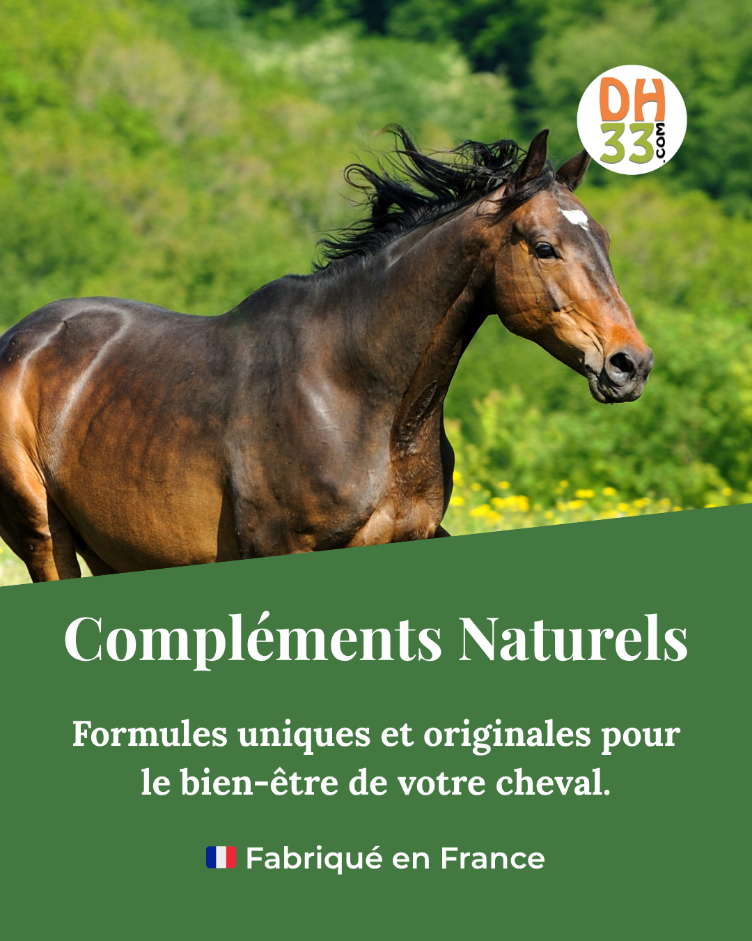 Distri'Horse33 Facebook ad from Nov 11, 2025