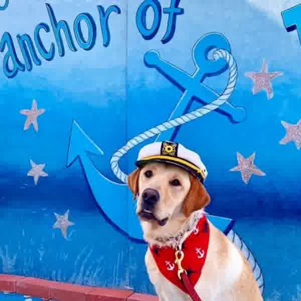 The Anchor Boston Facebook ad: Boston's ONLY outdoor two-story beer garden, performing…