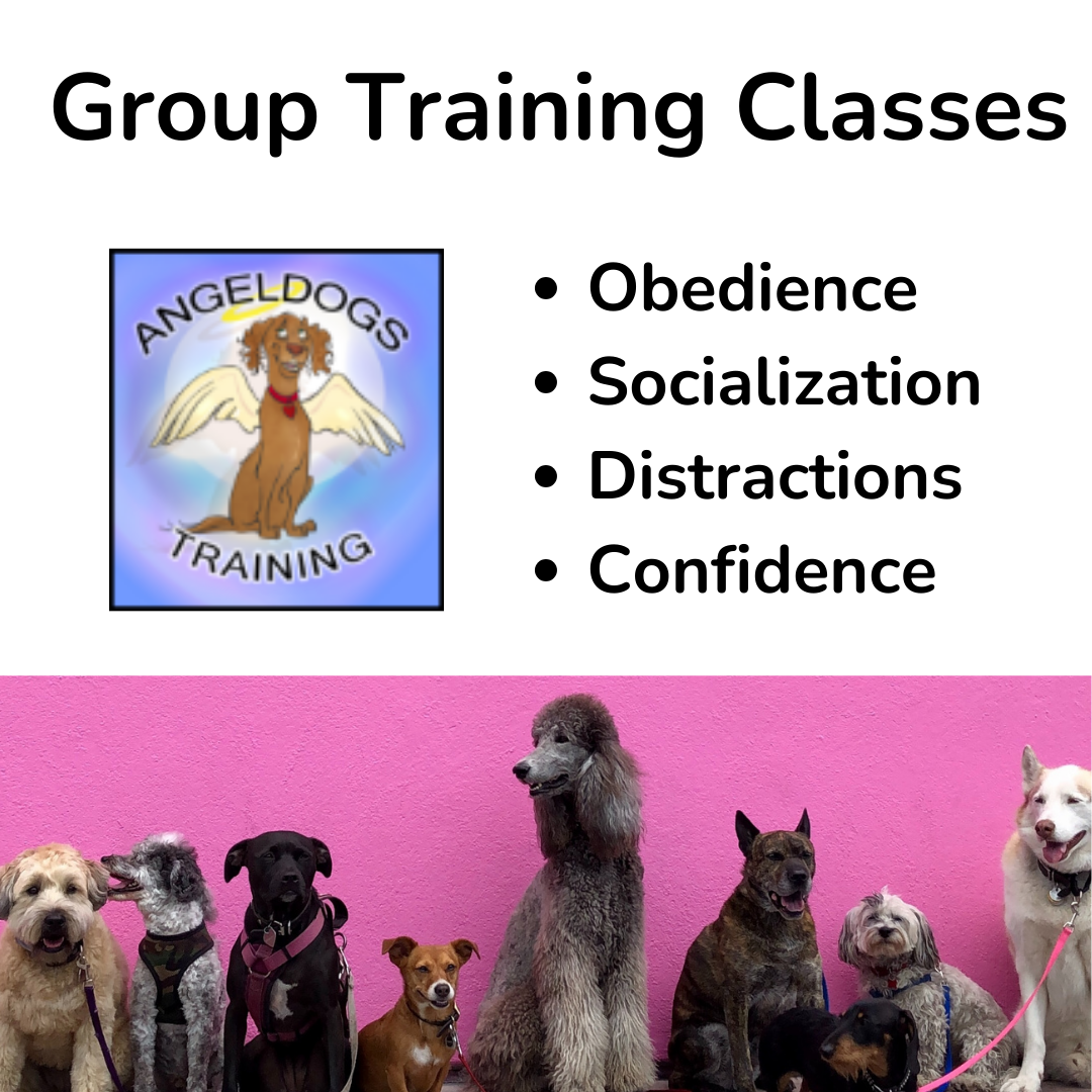 Santa Clarita Dog Training AngelDogs Facebook ad