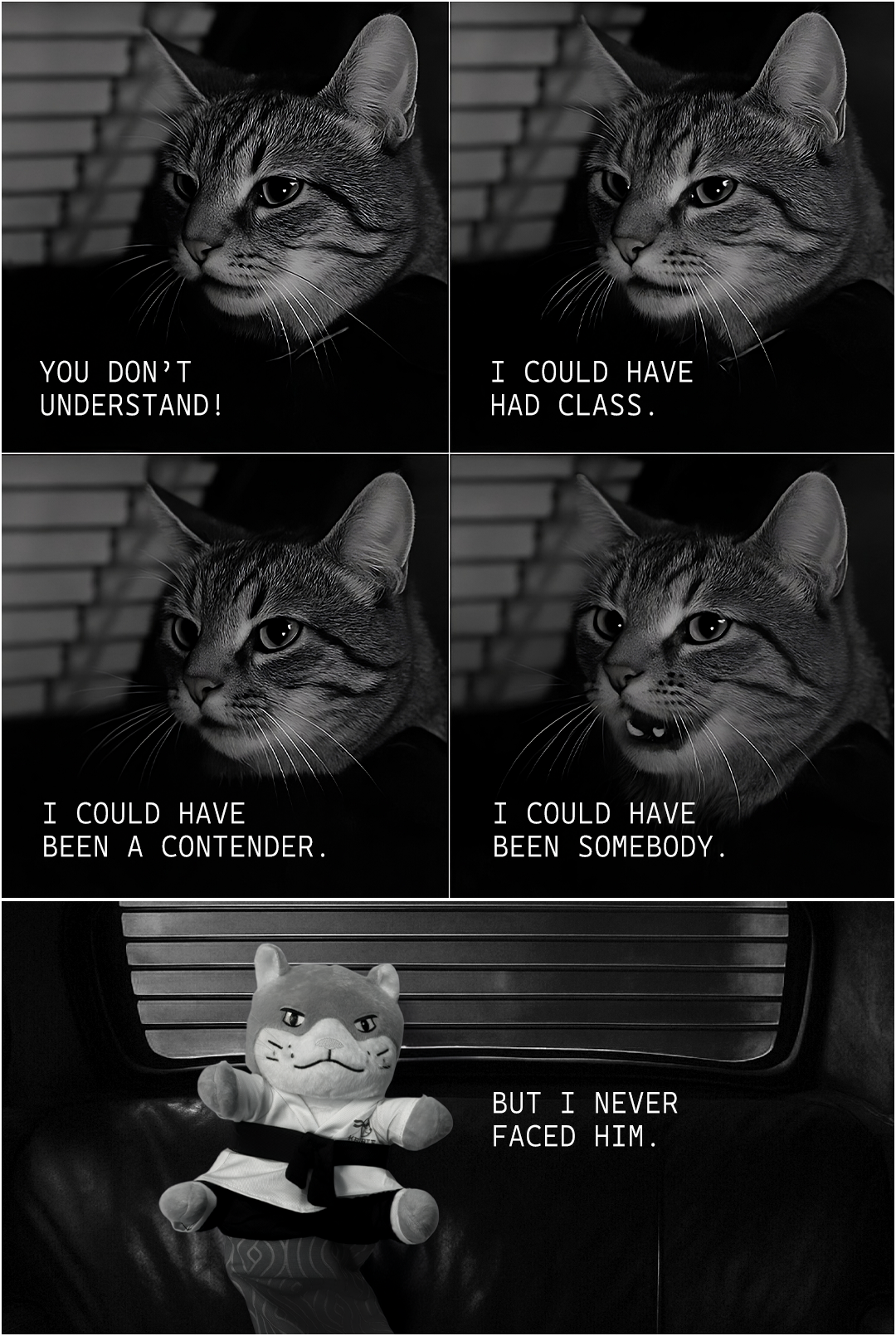 Karate Kitty Facebook ad