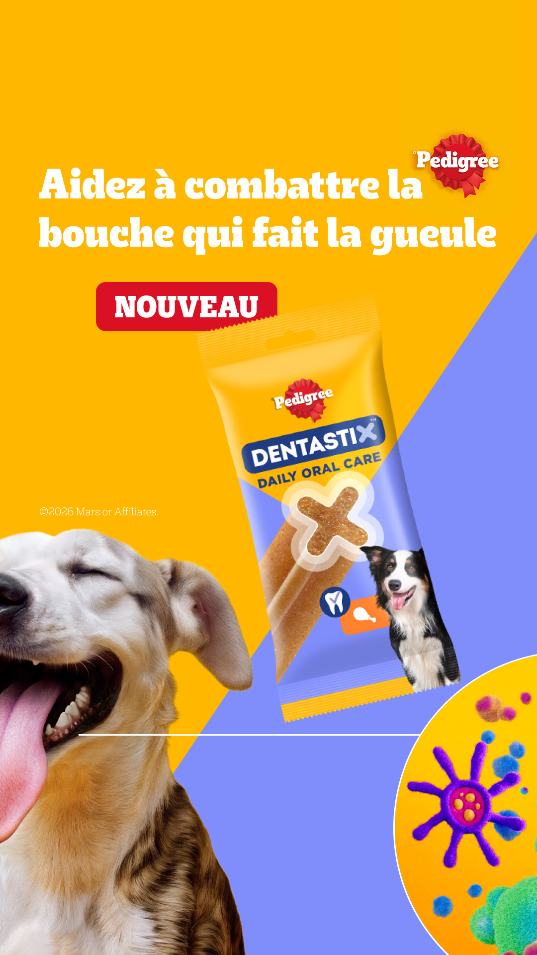 Pedigree France Facebook ad: Aidez-le à combattre les problèmes de bouche qui fait la…