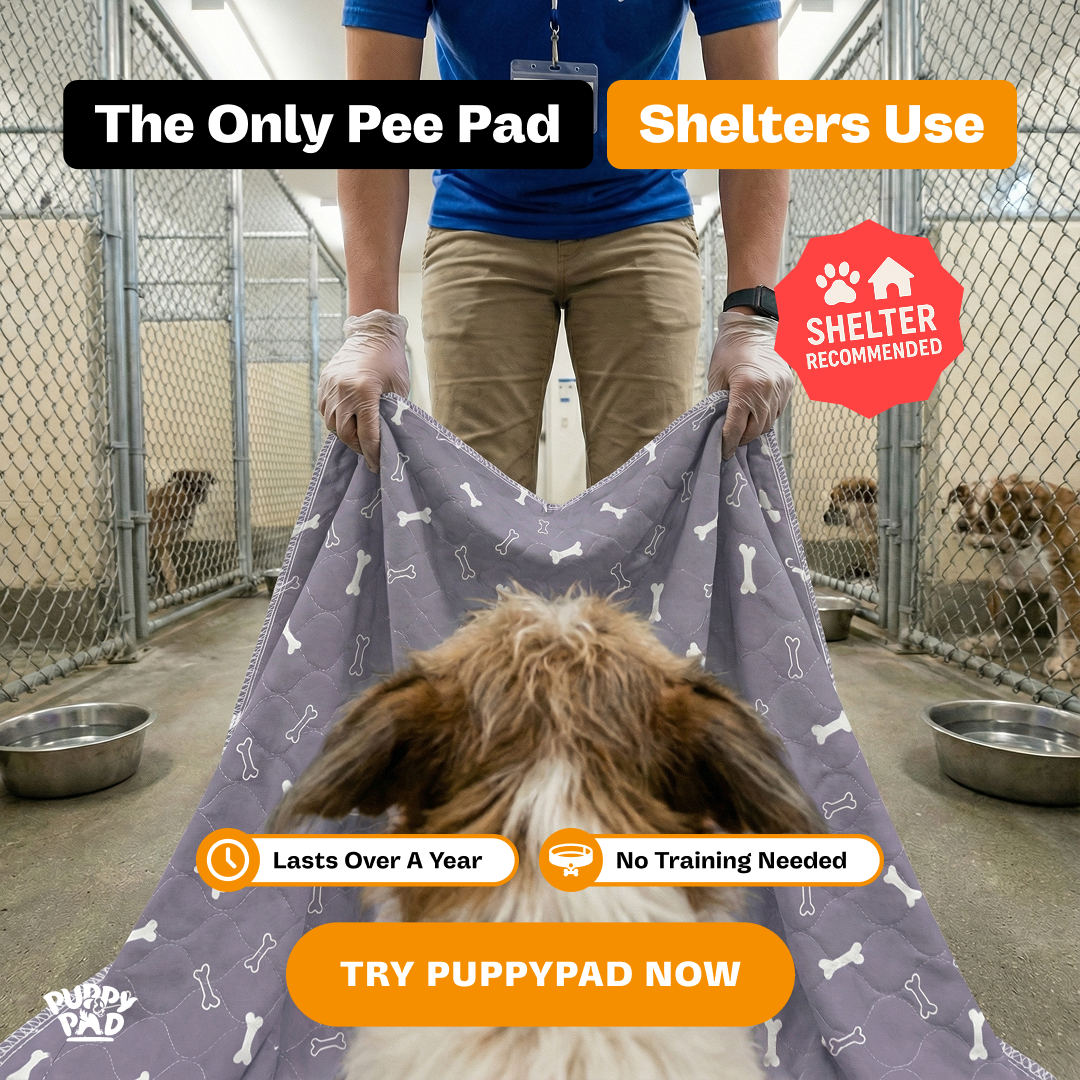 PuppyPad Facebook ad