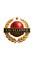 Excellence Overseas / Surat