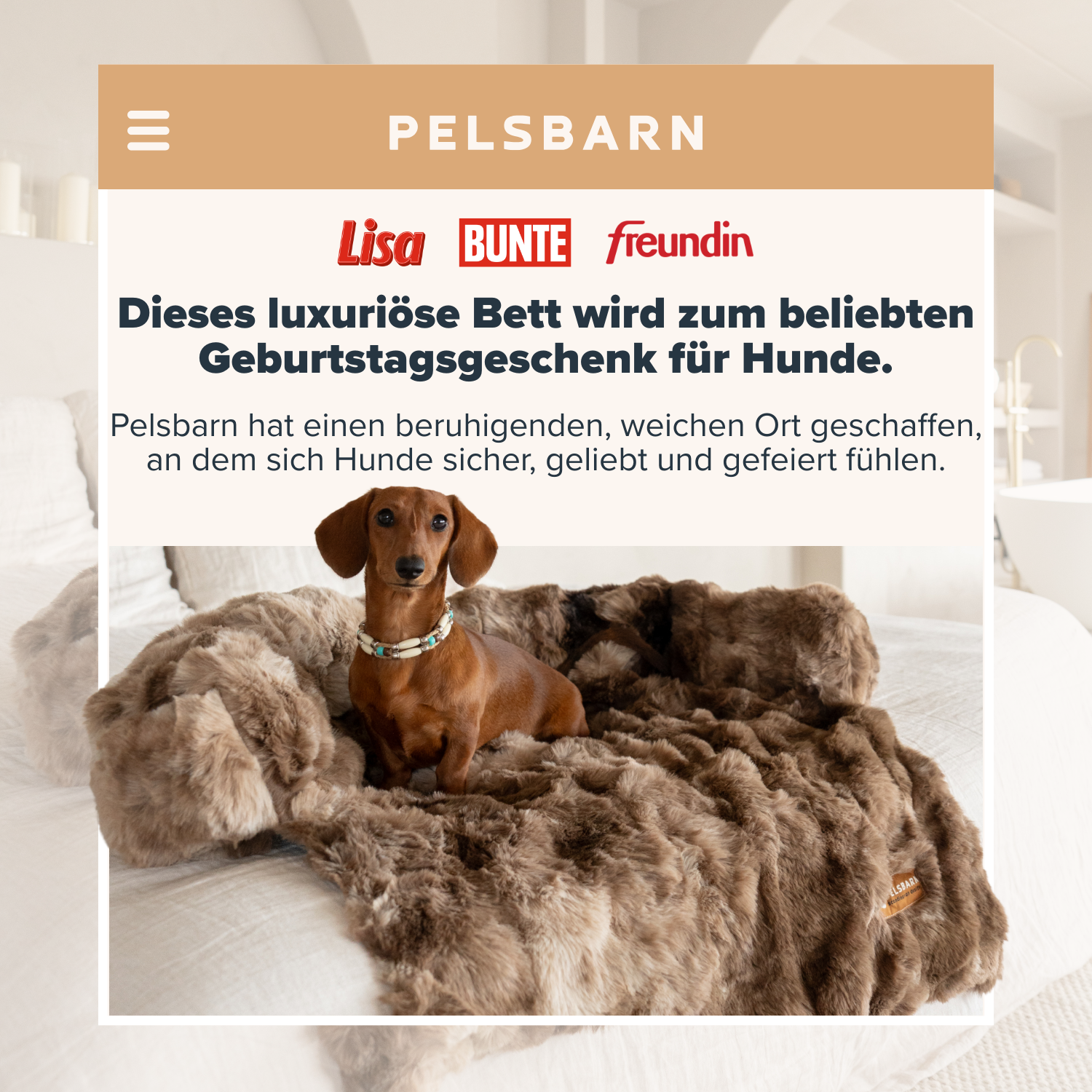 Pelsbarn.de Facebook ad: Mit jedem Kauf unterstützt du einen Tierheimhund.