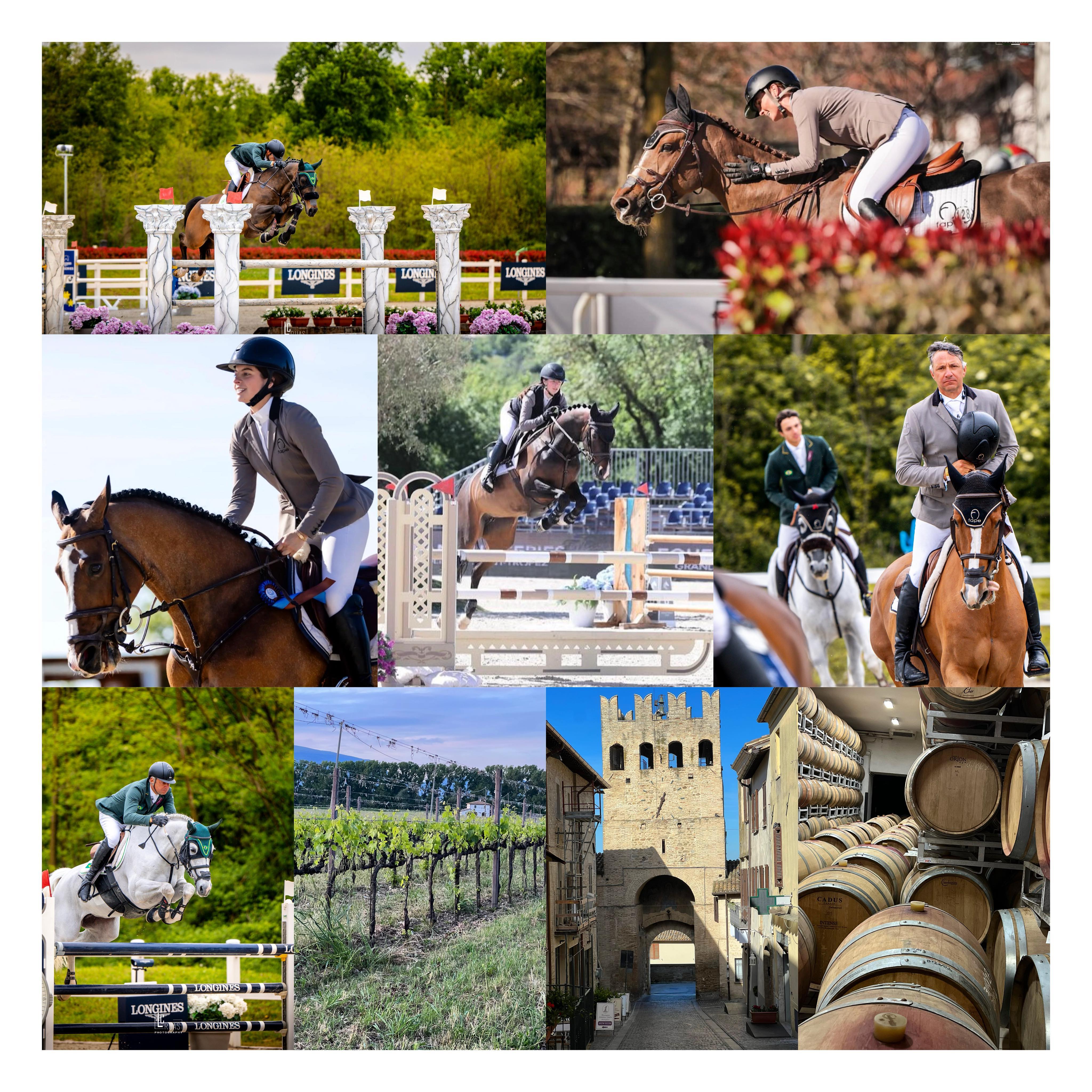 ecuriefape Facebook ad: Finally, the horses are returning home.