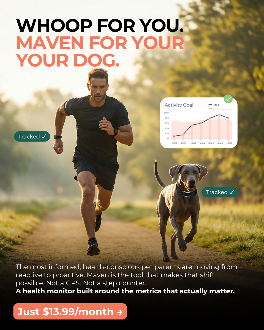 Maven Pet Facebook ad