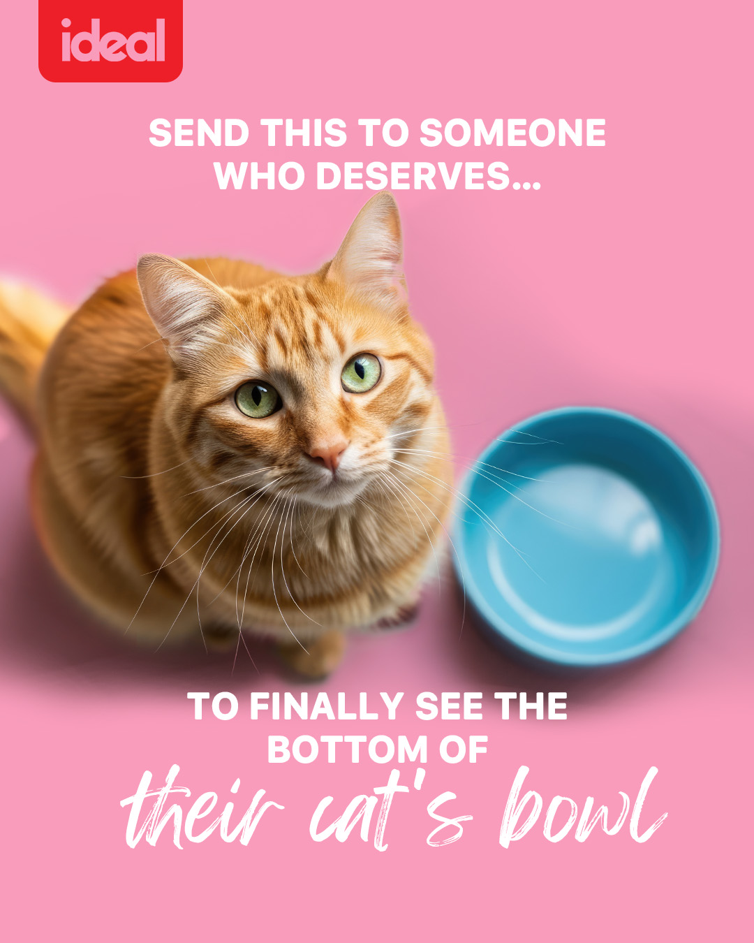 Ideal Pet Food Facebook ad
