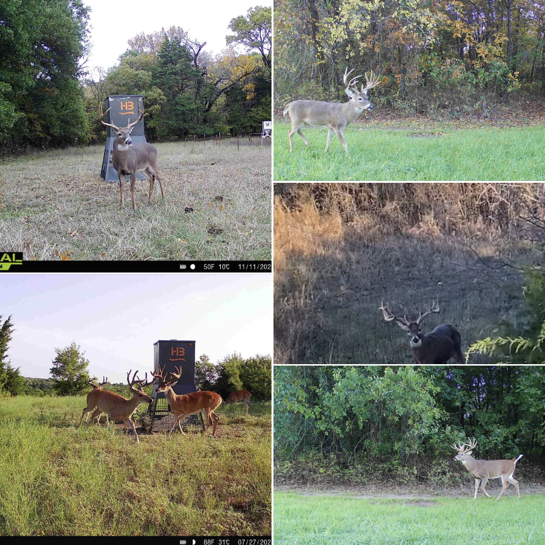 Hunting Land Rentals by Owner Facebook ad