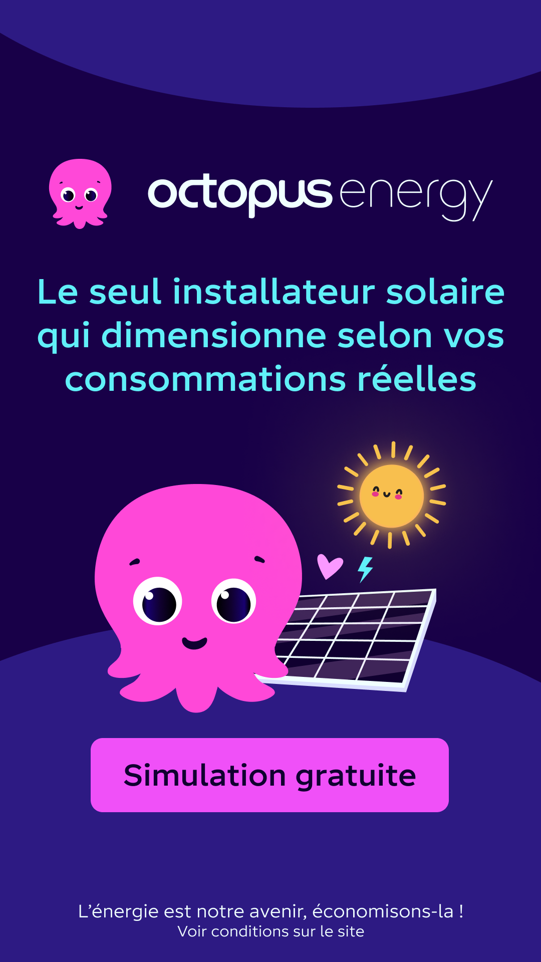 Octopus Energy Facebook ad
