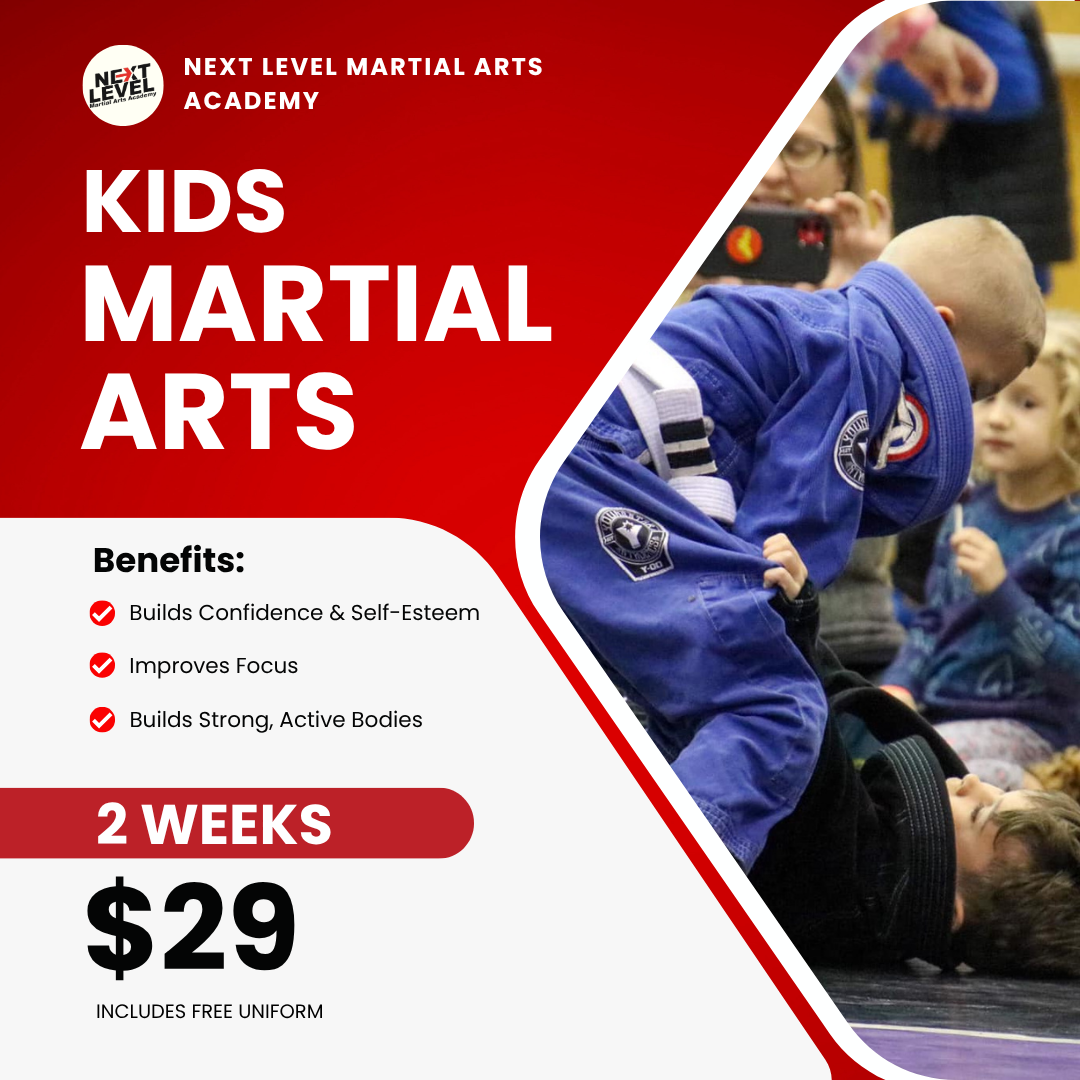 Next Level Martial Arts Facebook ad