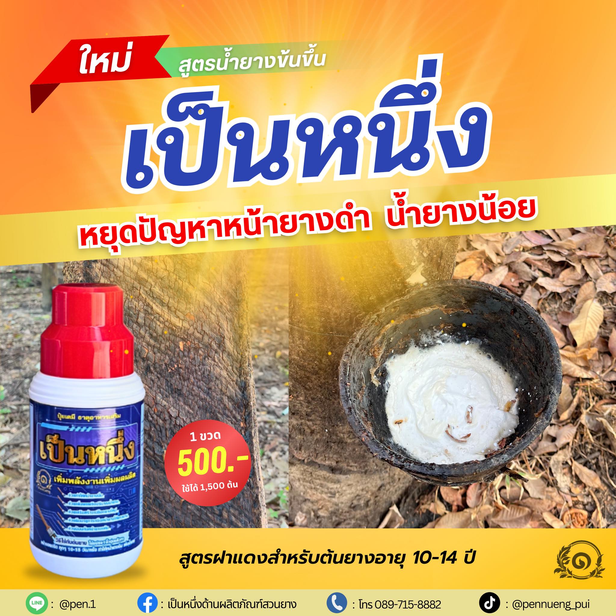 เป็นหนึ่งด้านผลิตภัณฑ์สวนยาง Facebook ad