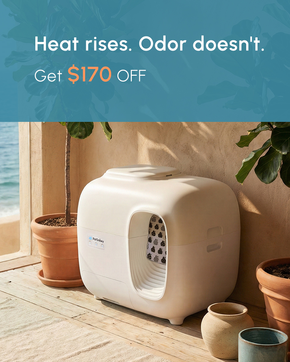 PetSnowy Facebook ad
