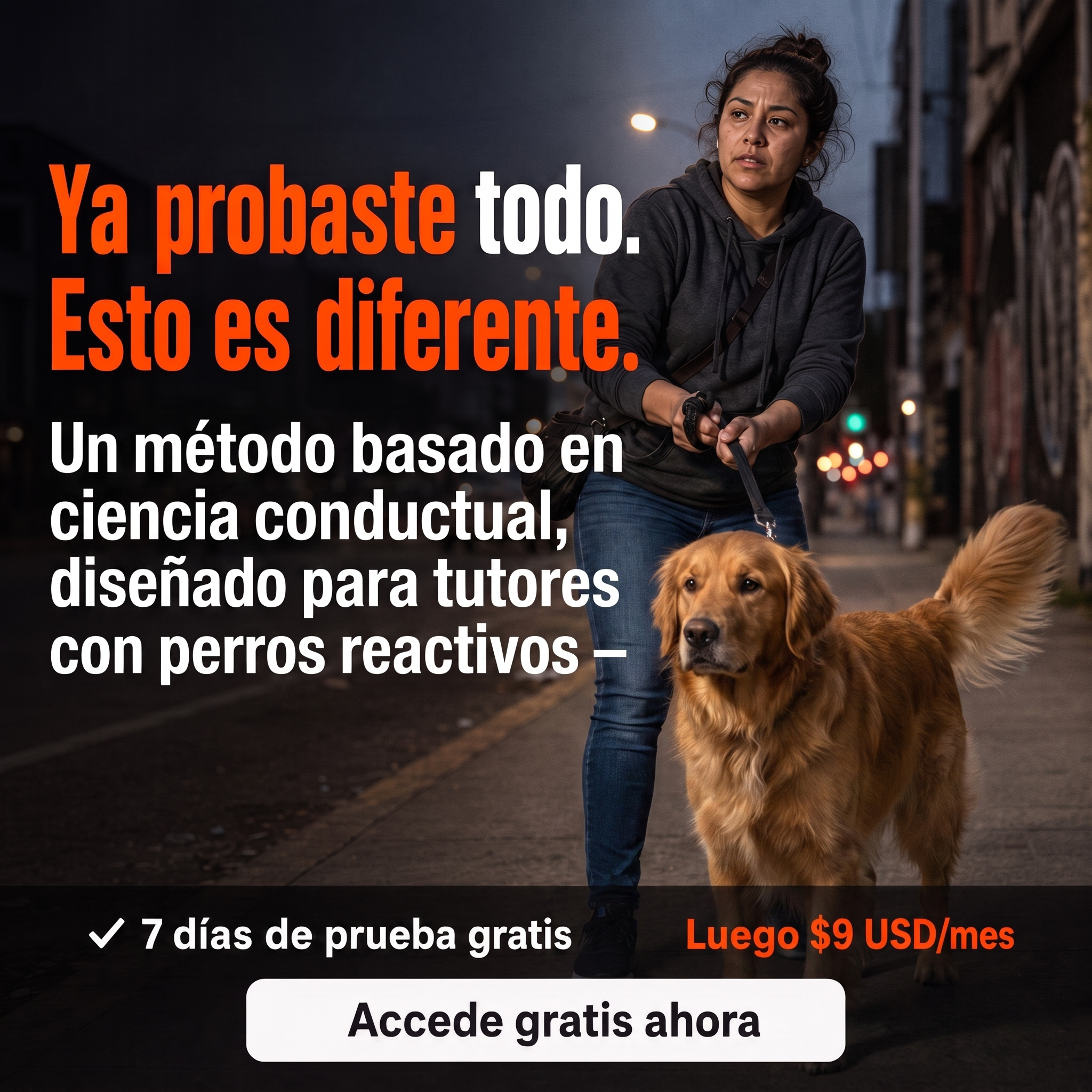 El Profesor Canino Facebook ad