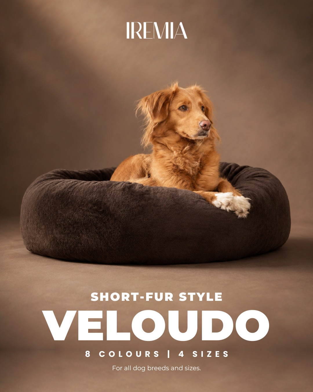 PetsPlanet Facebook ad