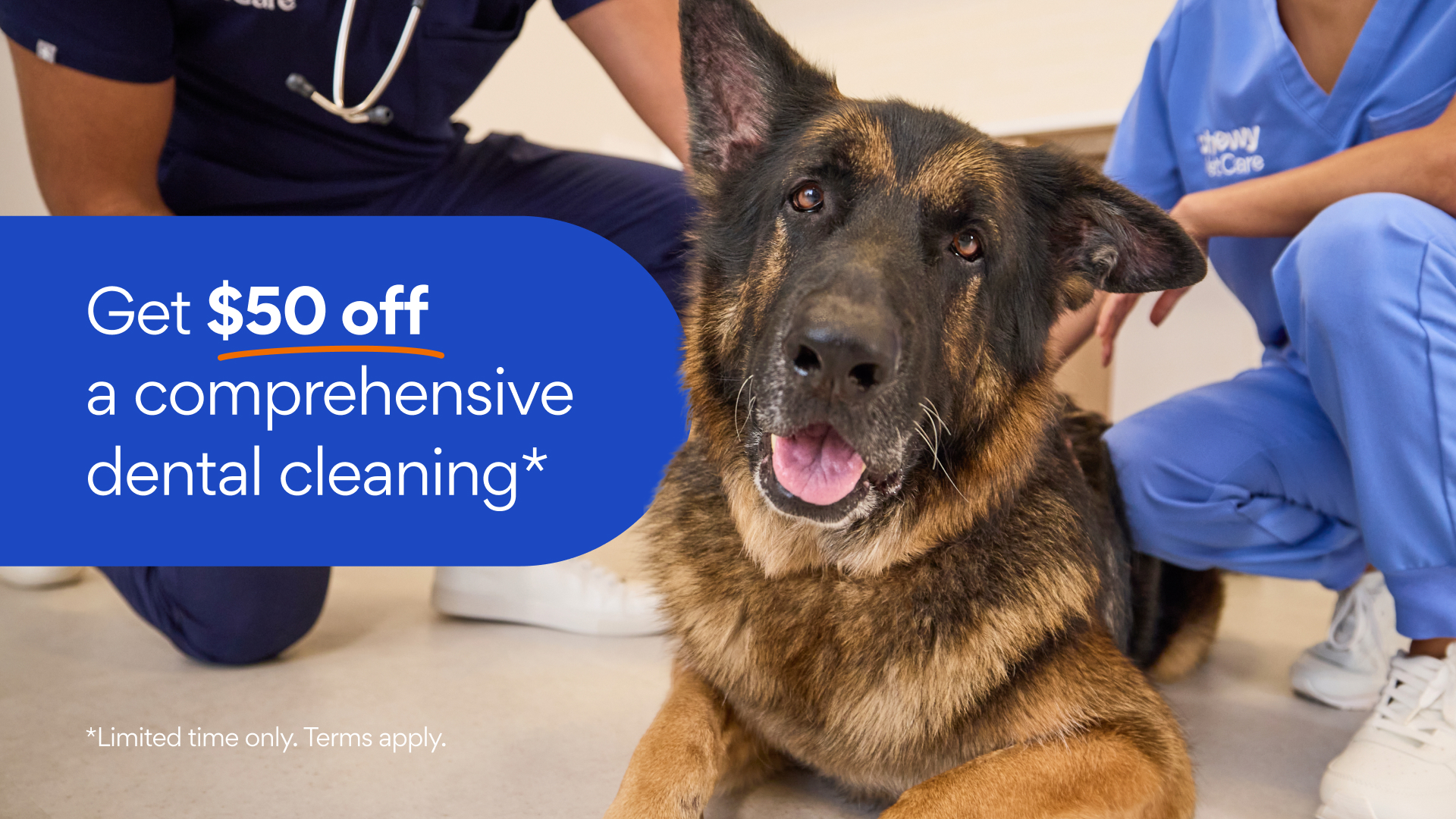Chewy Vet Care Facebook ad