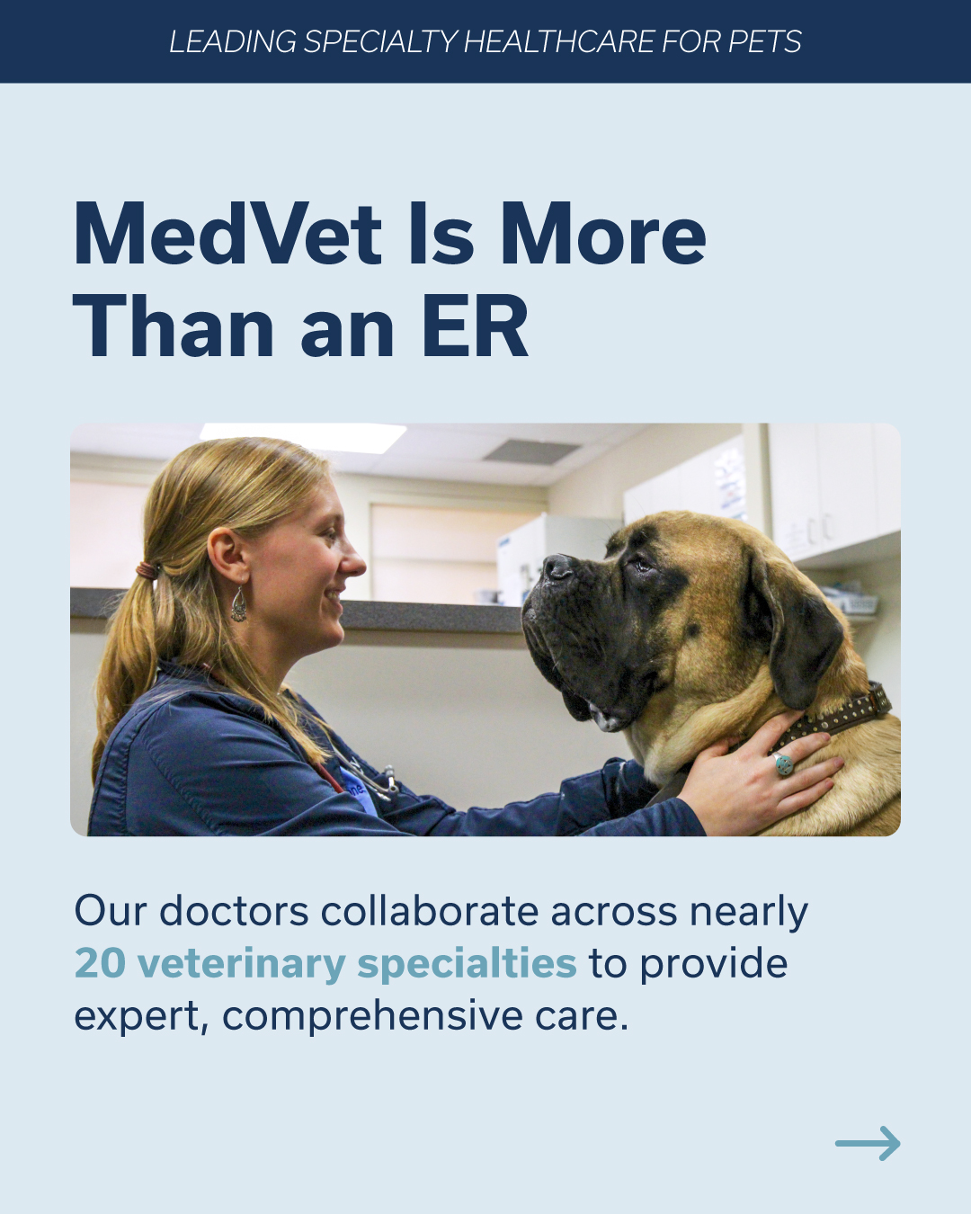 MedVet Facebook ad: Just like people, sometimes pets need specialized…