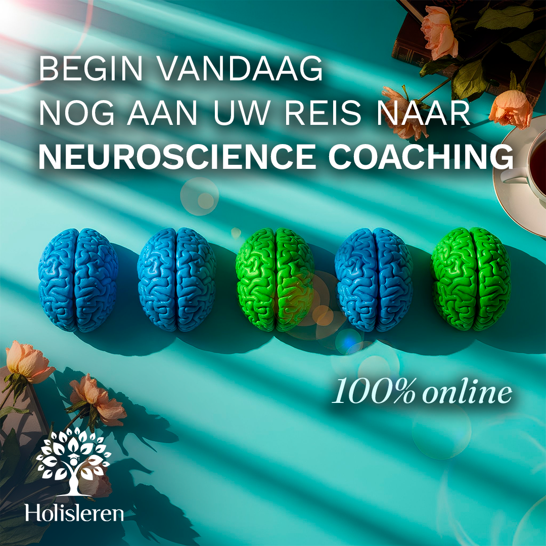 Holisleren Facebook ad