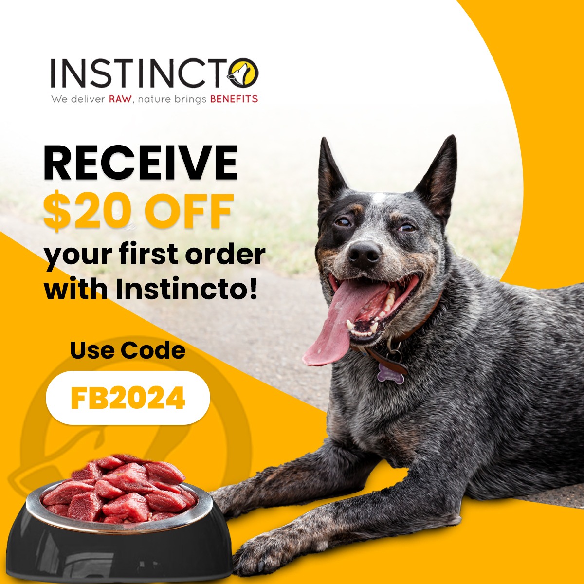 Instincto Facebook ad: Make the Switch to Raw…Use Code FB2024 for $20 OFF your…