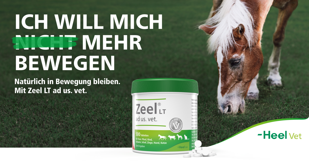 Heel Vet Facebook ad from Jan 5, 2026