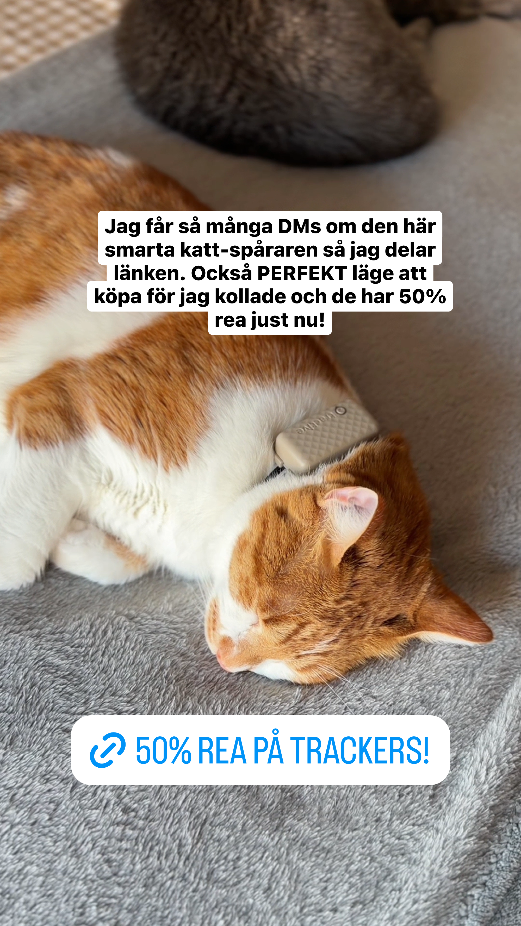 Tractive Facebook ad