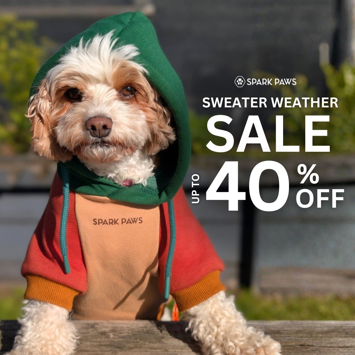 Spark Paws Facebook ad