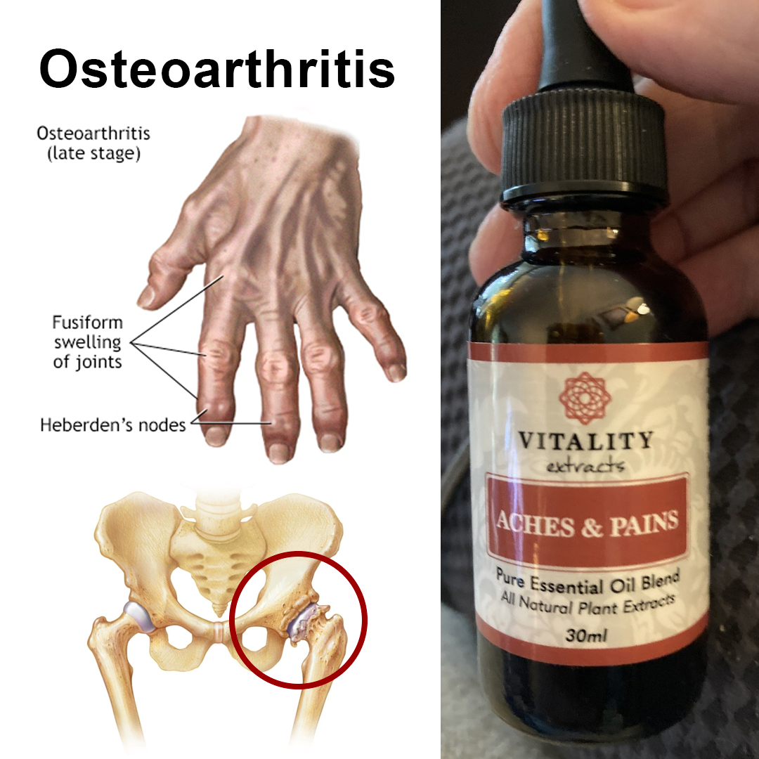Vitality Extracts Essential Oils Facebook ad