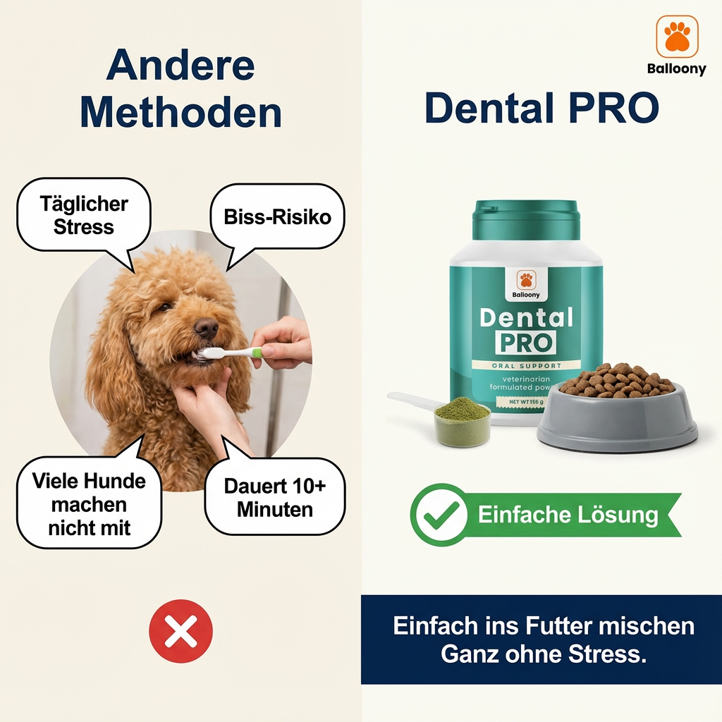 Balloony.pet Facebook ad