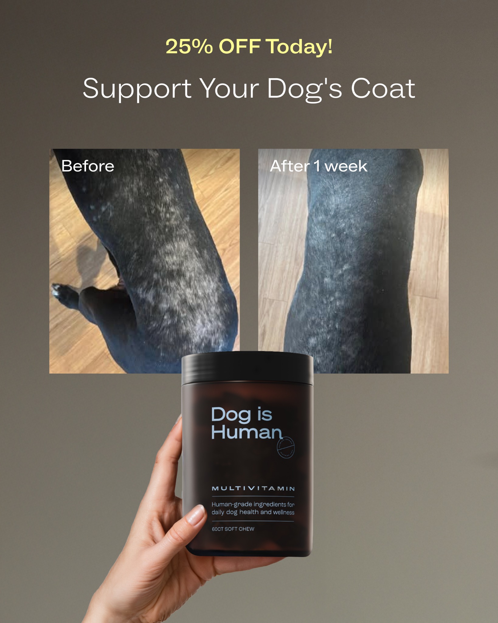 Dog is Human Facebook ad