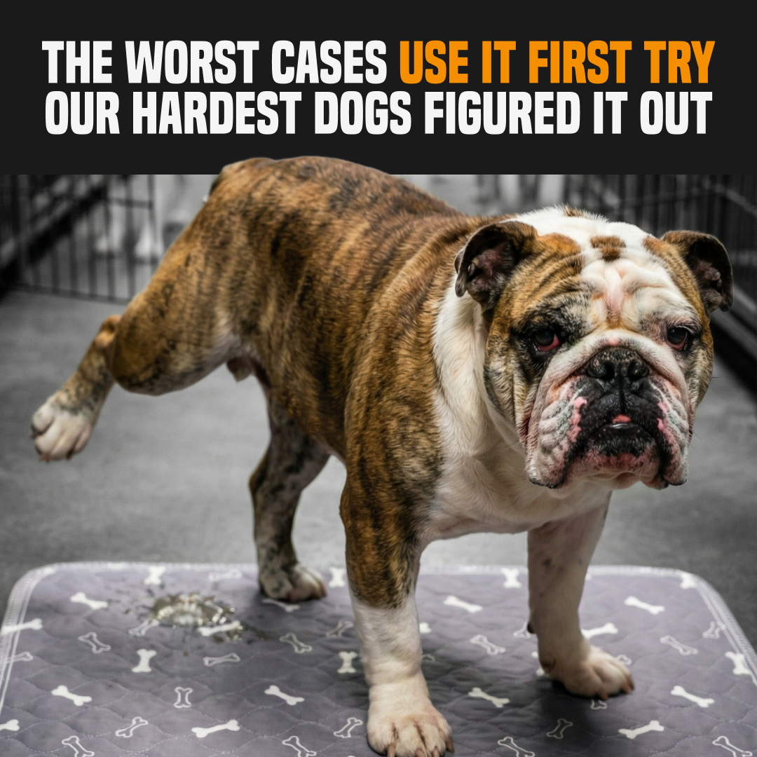 PuppyPad Facebook ad