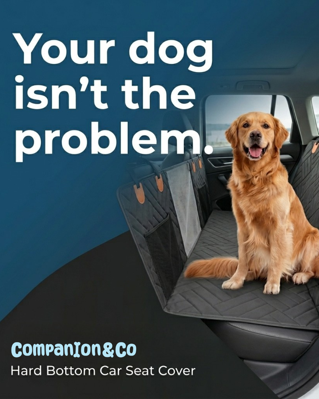 Companion&Co Facebook ad