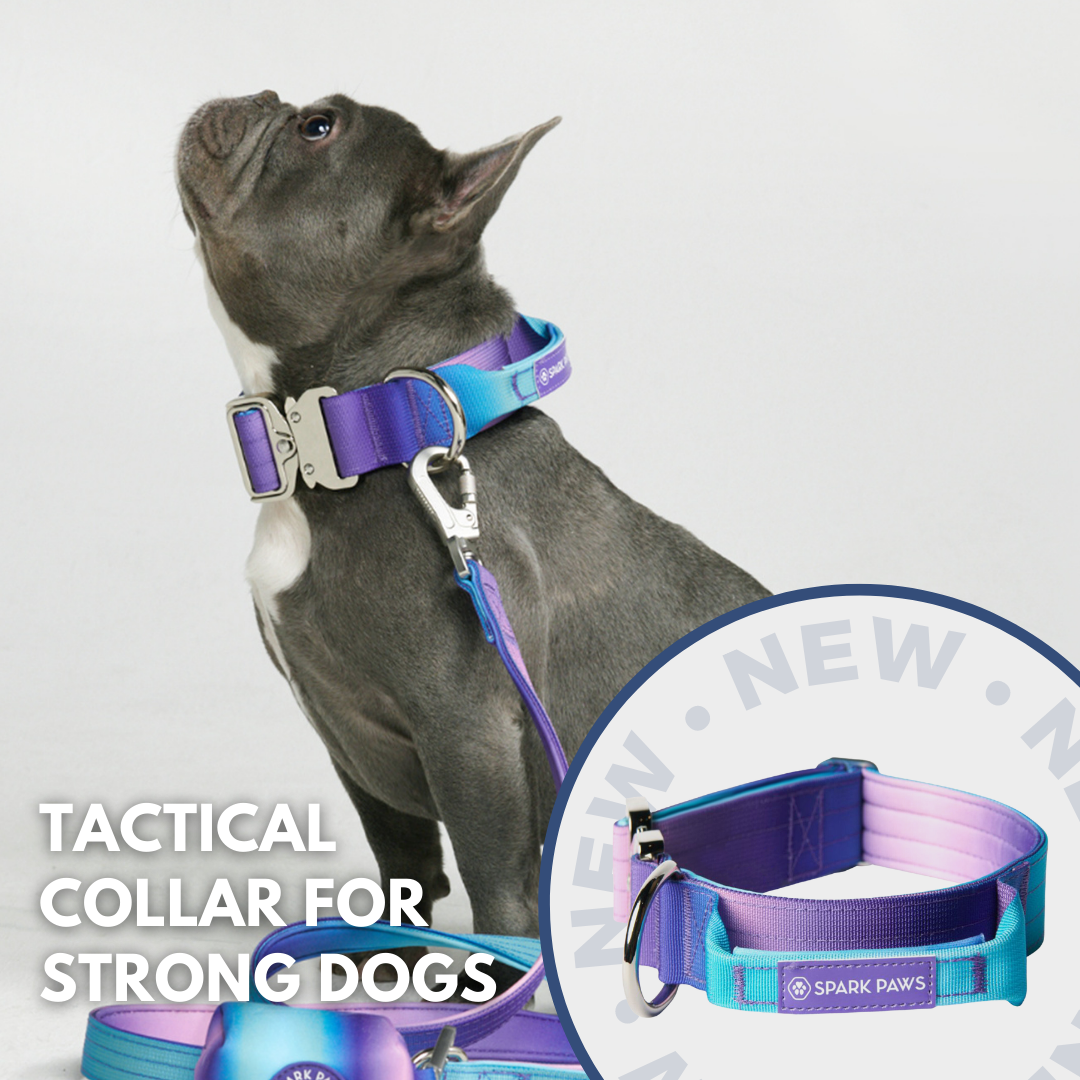 Spark Paws Facebook ad