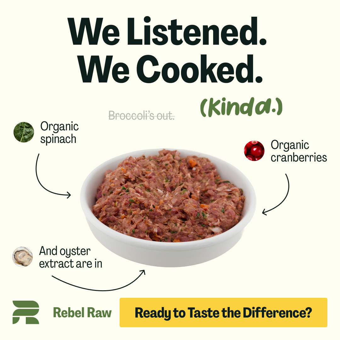 Rebel Raw Facebook ad: Let Us Cook (Real, Raw, Dog & Cat Food)