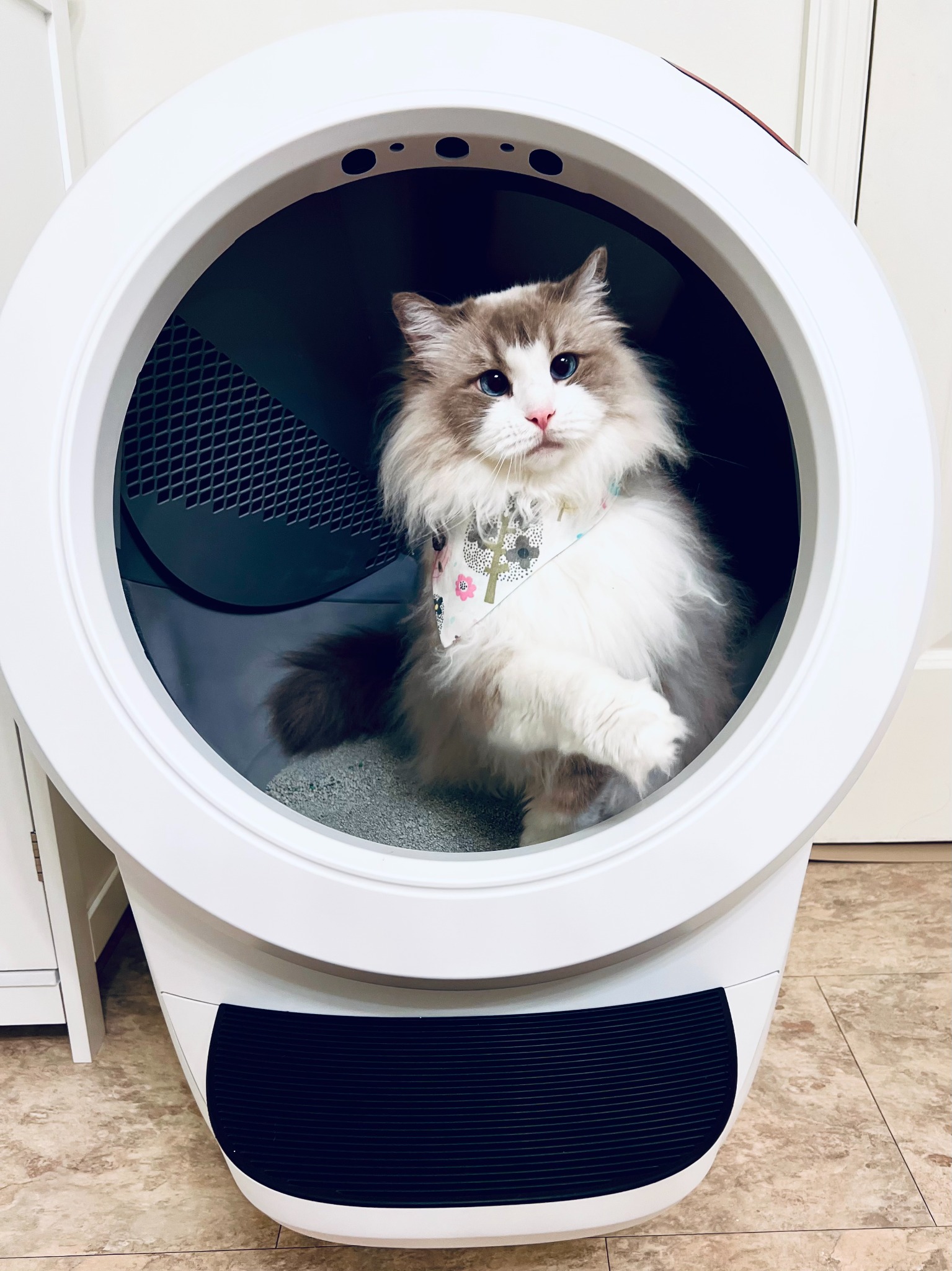 Litter-Robot by Whisker Facebook ad