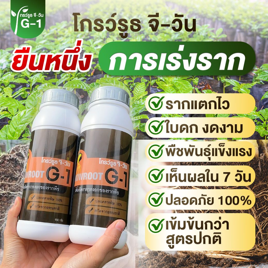 ยาเร่งราก โกรว์รูธ จี-วัน Facebook ad: โกรว์รูธ จี-วัน