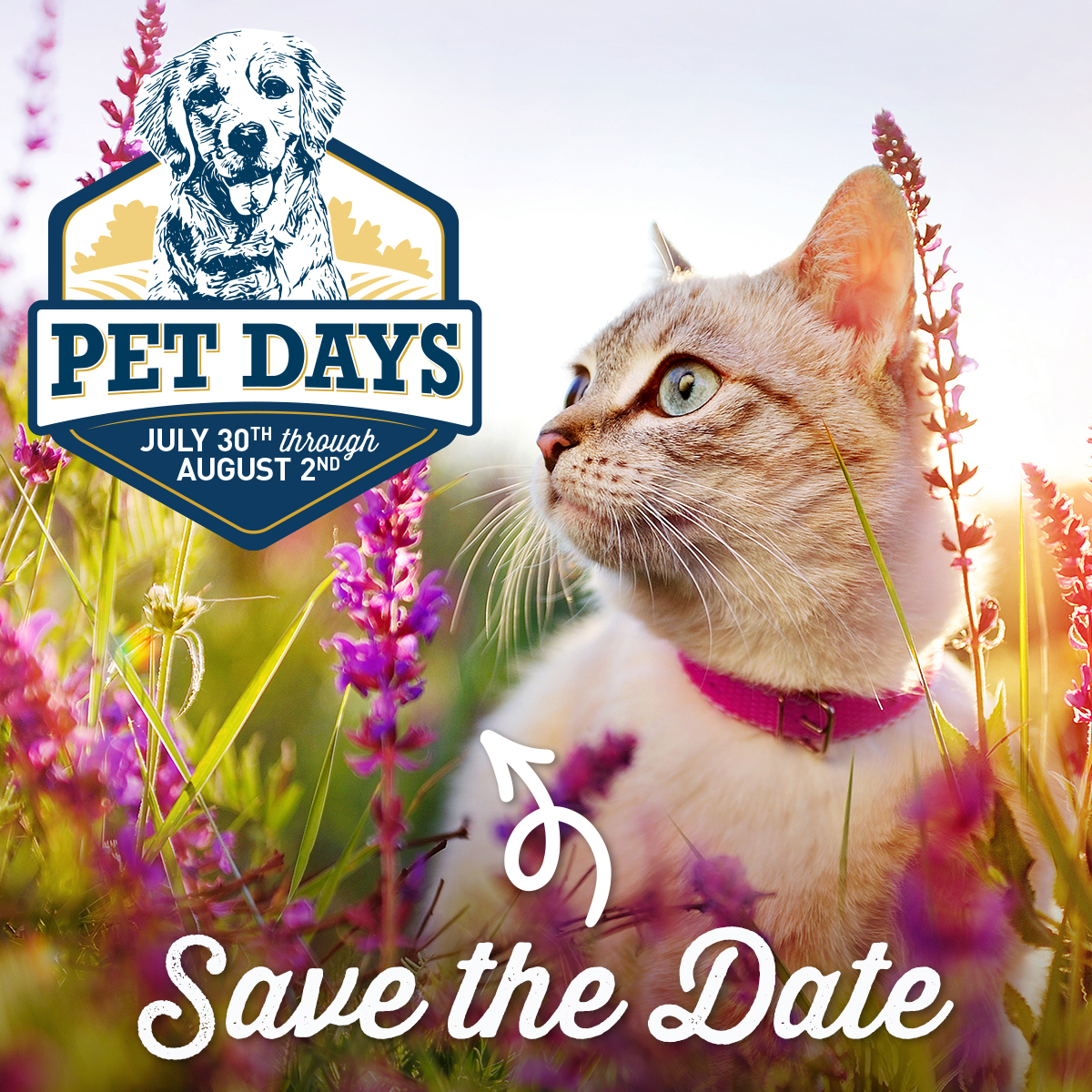 Wilco Facebook ad: Pet Days: Lebanon, OR