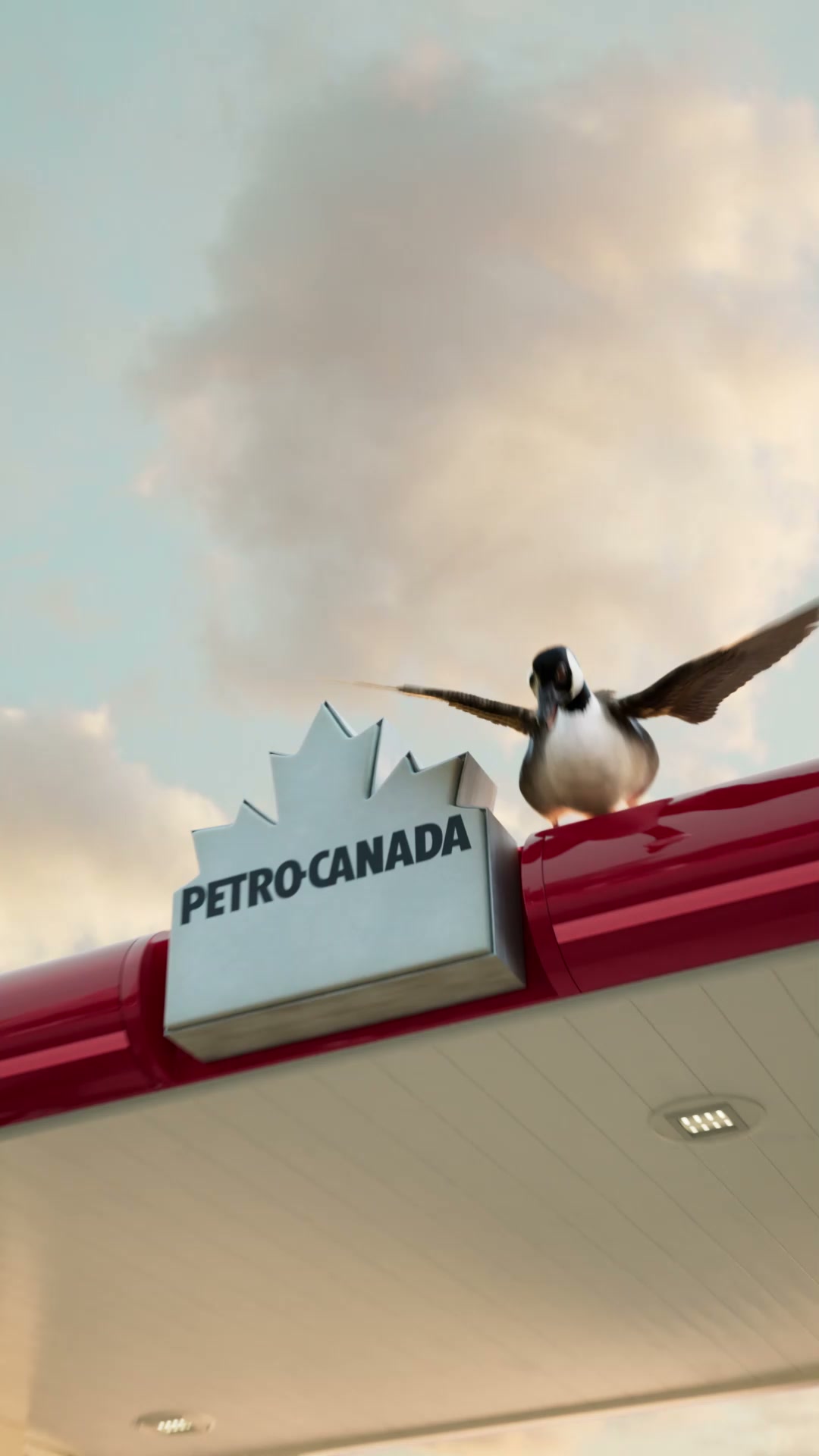 Petro-Canada Québec Facebook ad: Faites un quack, obtenez votre porte-clés!
