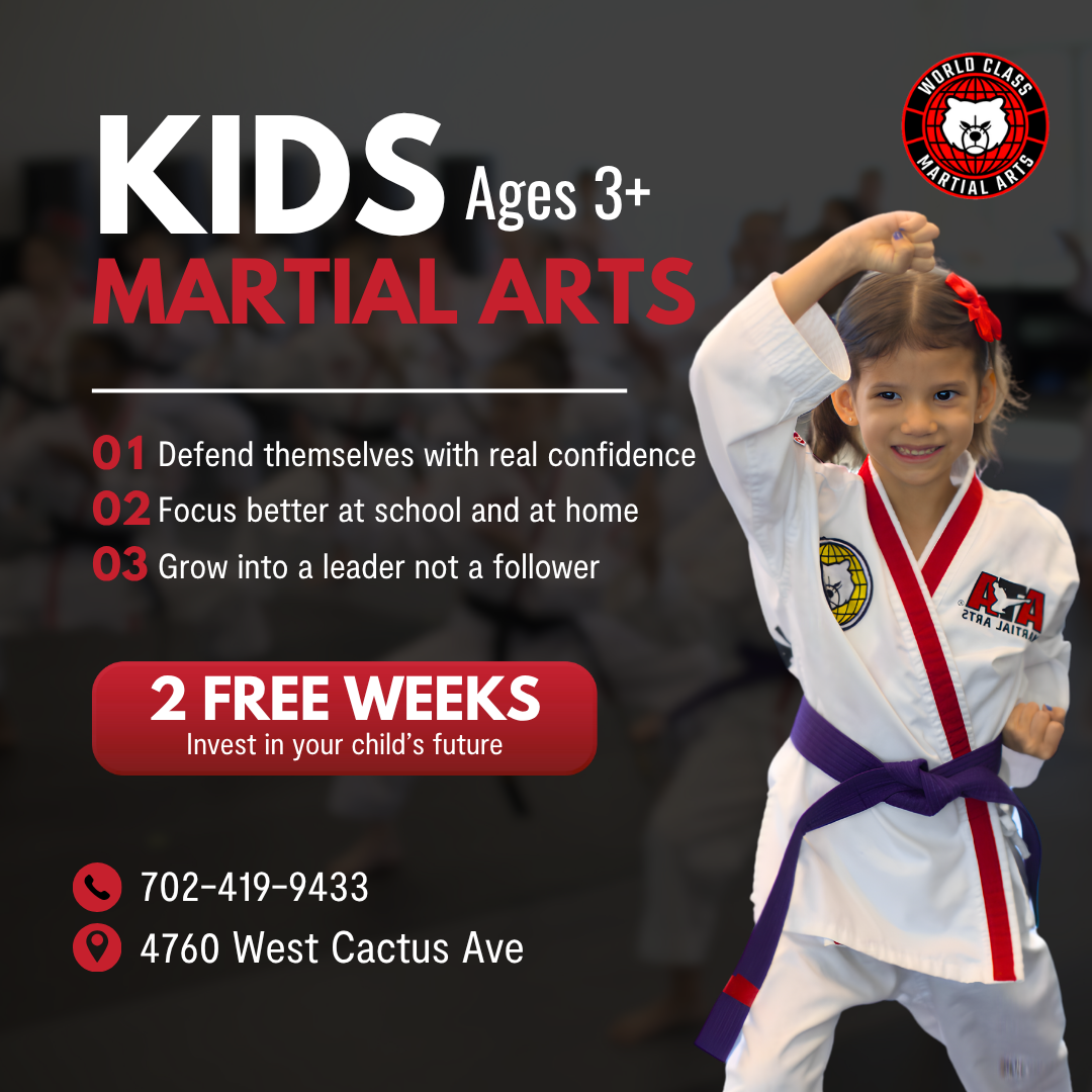World Class Martial Arts Facebook ad: Kids Martial Arts (Ages 3+)
