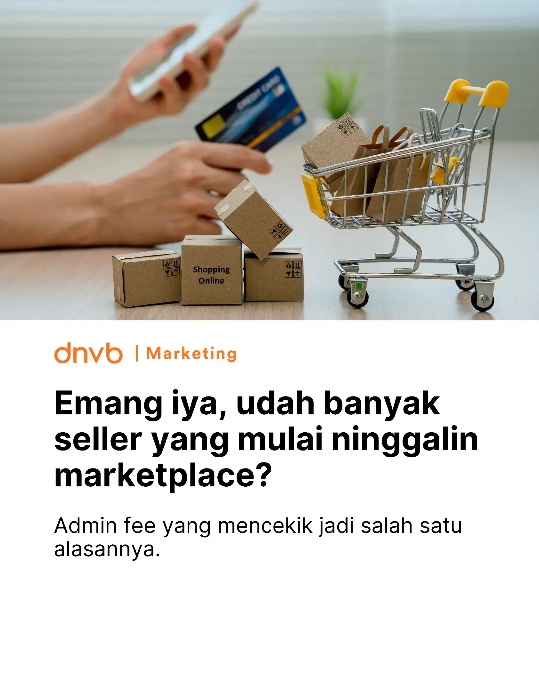 DNVB Indonesia Facebook ad
