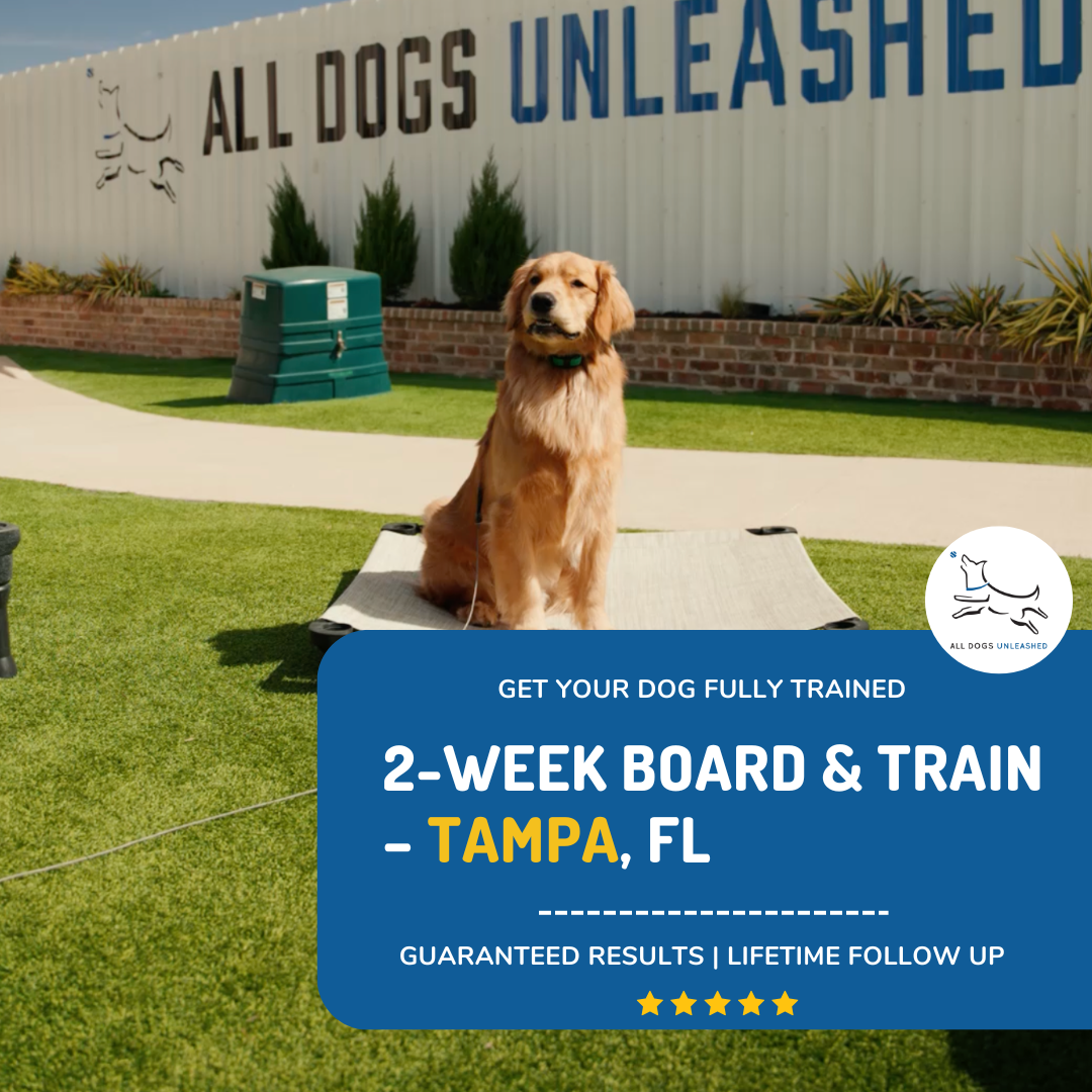 All Dogs Unleashed Facebook ad