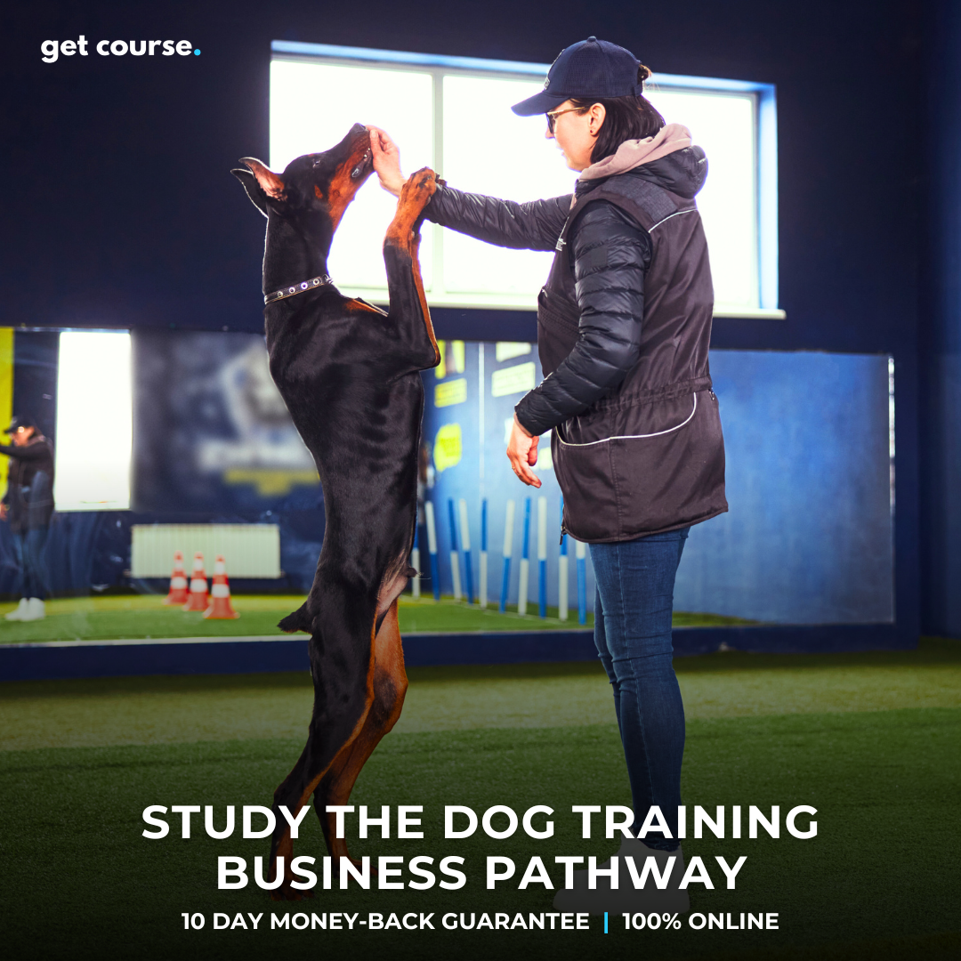Get Course Co Facebook ad