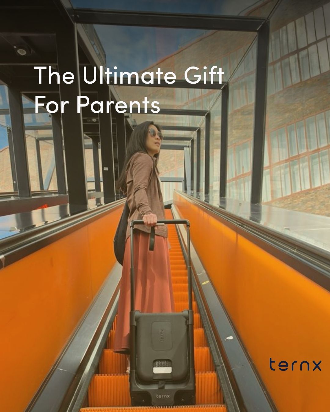 TernX Facebook ad