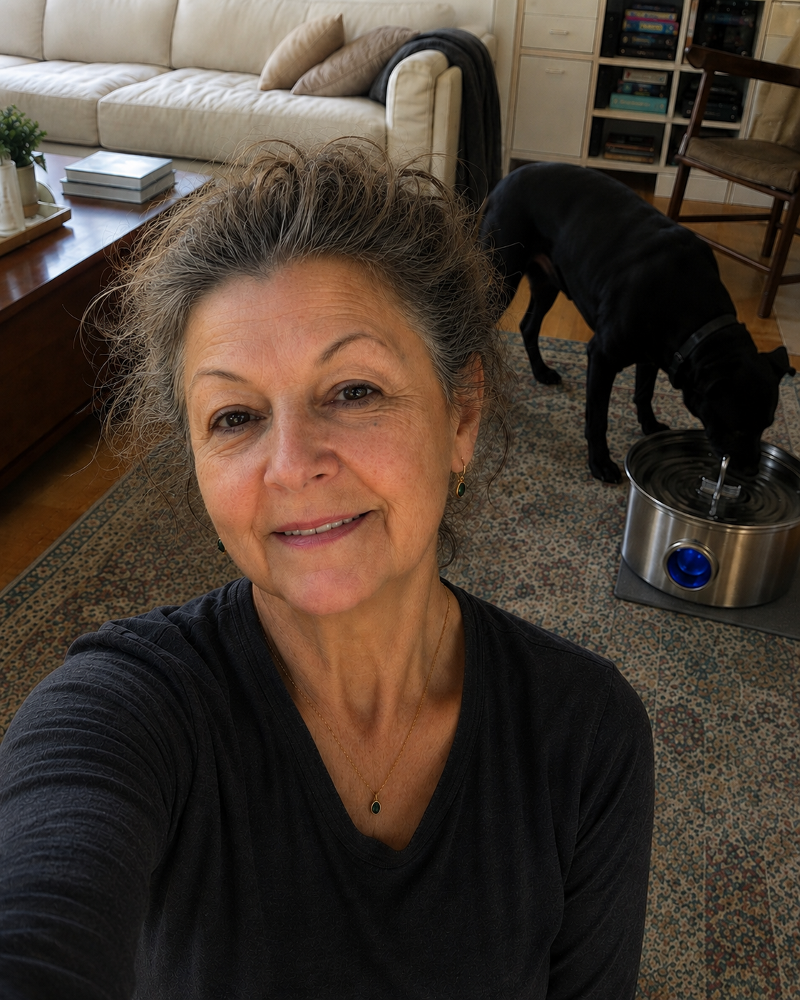 Linda Kreychmar Facebook ad: Amazon Sold A Fake Dog Fountain Under A Real Brand's Name