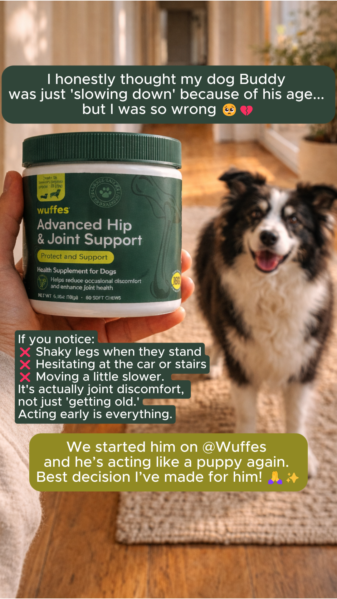 Wuffes Facebook ad