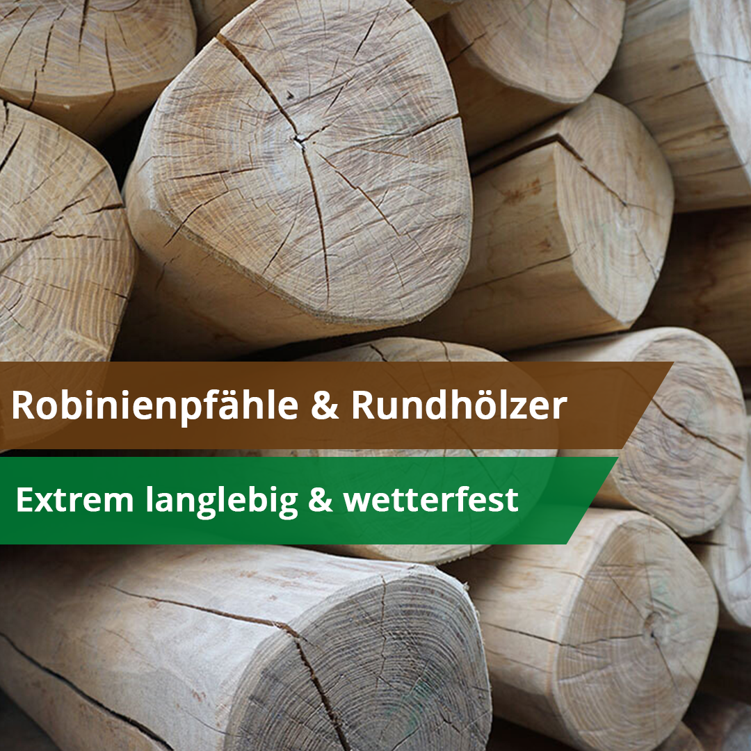 Holzhof Rheinsberg Facebook ad: Robinienholz zählt zu den langlebigsten heimischen Hölzern…