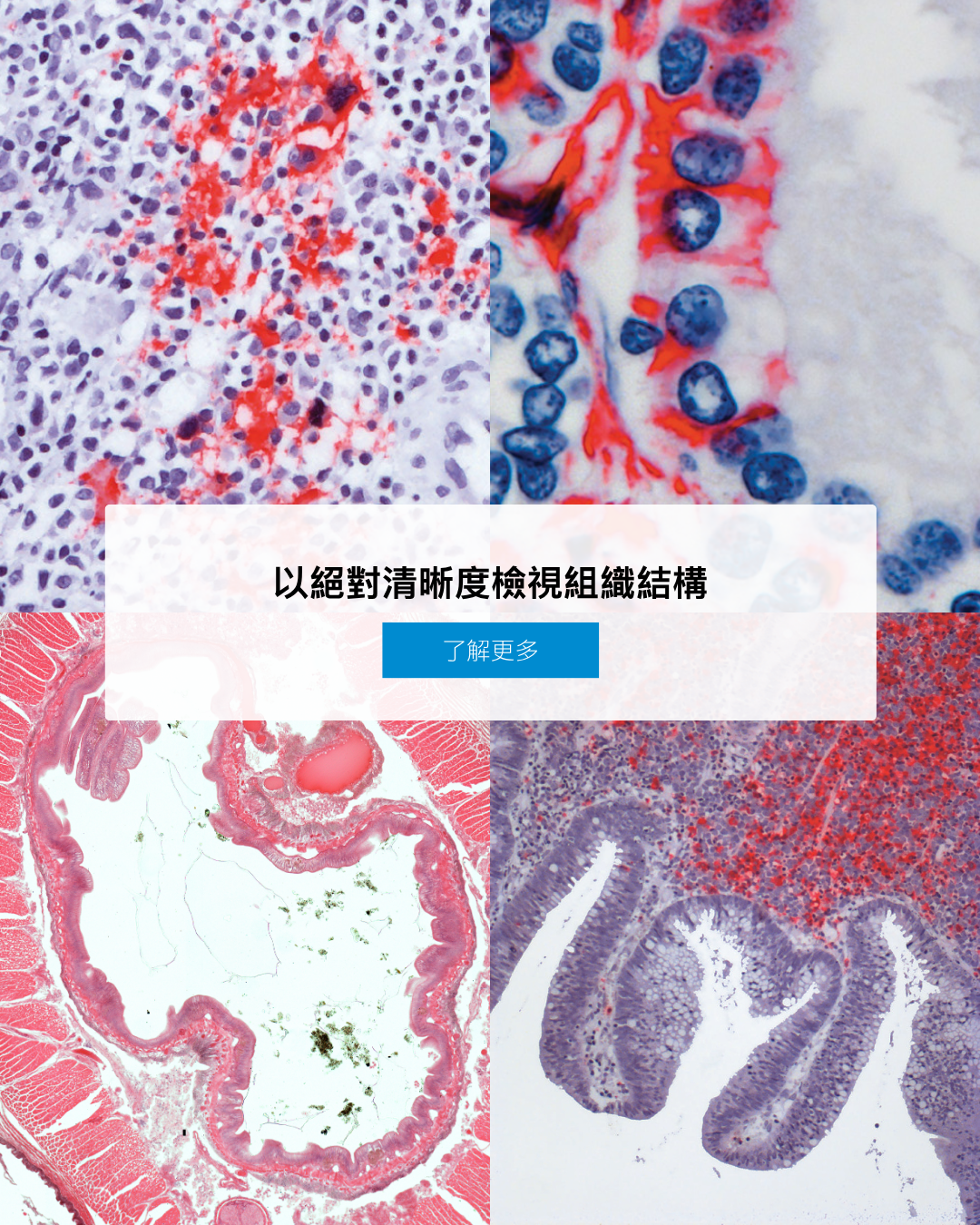 ZEISS Microscopy Facebook ad