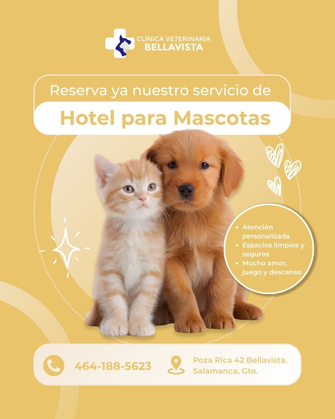 Clínica Veterinaria Bellavista Facebook ad: Sí, se ven tiernos, pero aquí no vienen…