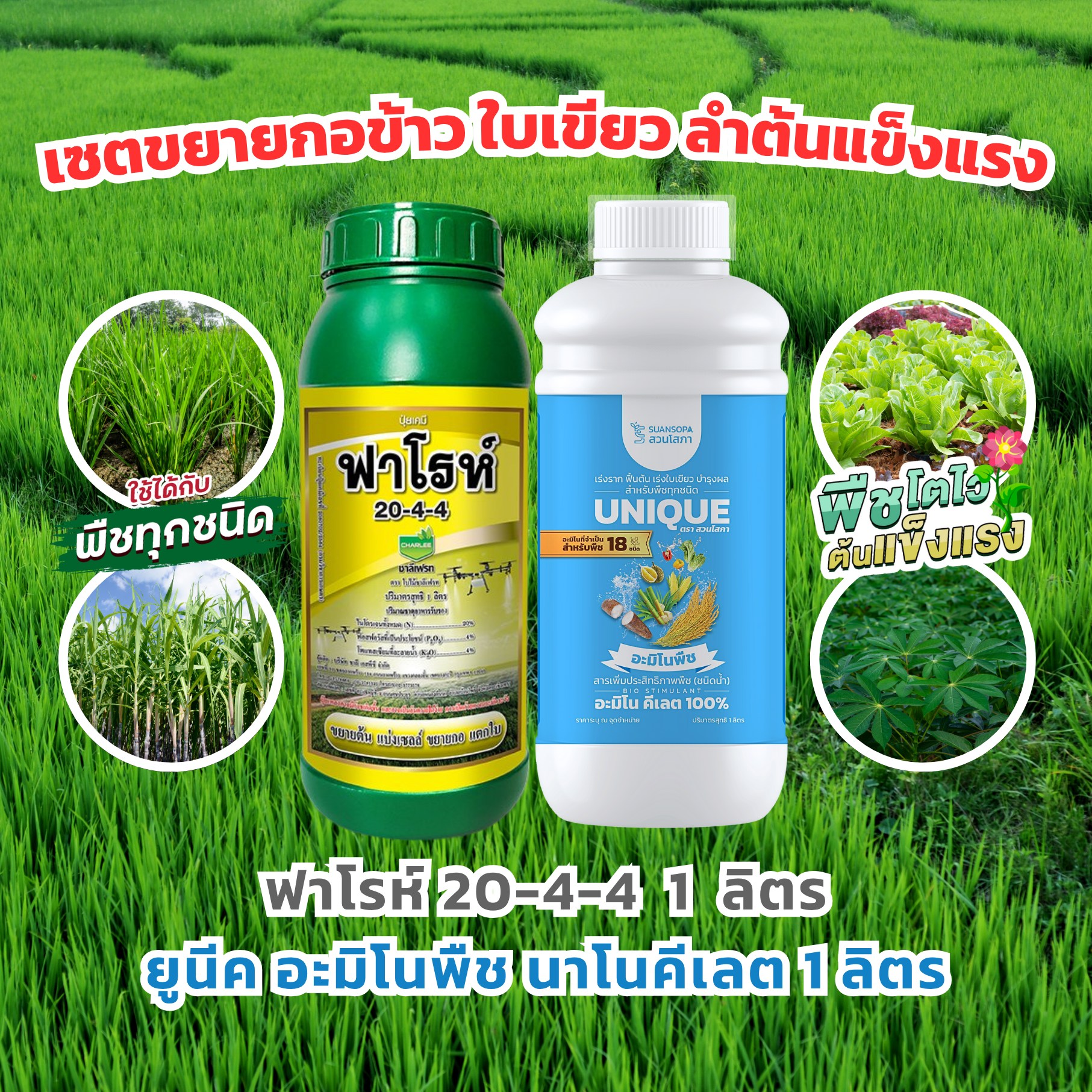 สวนโสภา Facebook ad